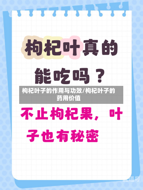 枸杞叶子的作用与功效/枸杞叶子的药用价值