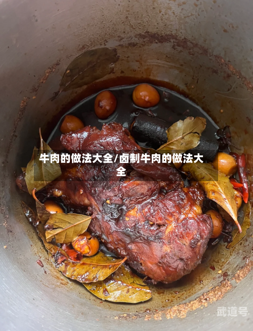 牛肉的做法大全/卤制牛肉的做法大全
