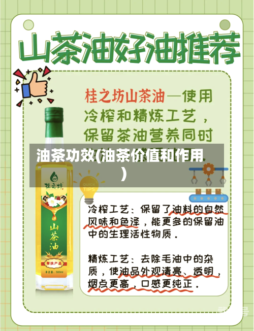 油茶功效(油茶价值和作用)