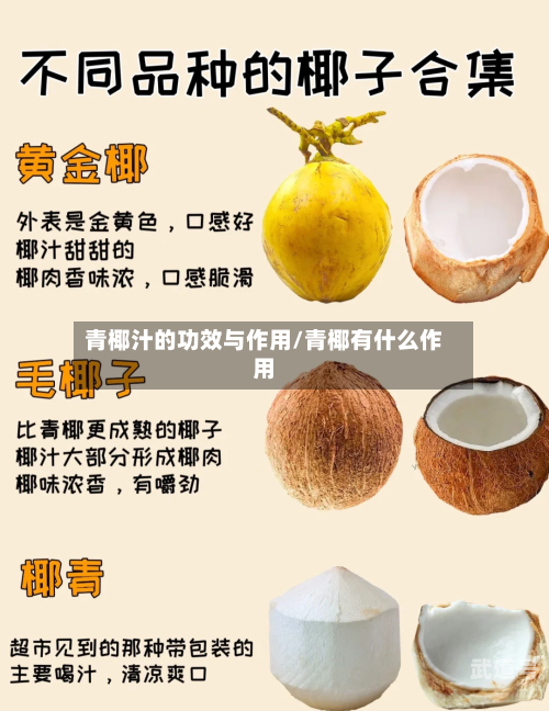 青椰汁的功效与作用/青椰有什么作用