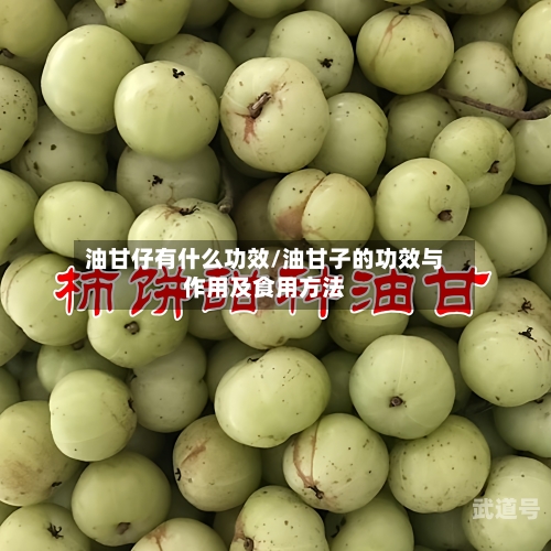 油甘仔有什么功效/油甘子的功效与作用及食用方法