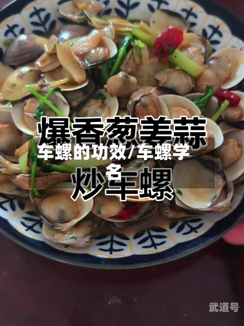车螺的功效/车螺学名