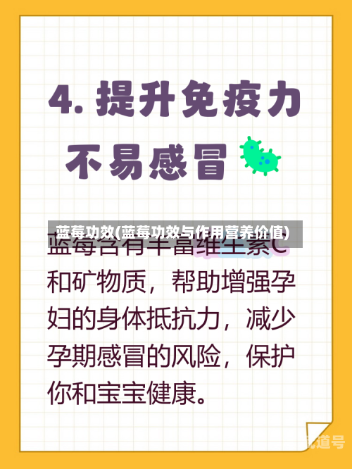 蓝莓功效(蓝莓功效与作用营养价值)
