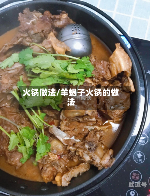 火锅做法/羊蝎子火锅的做法