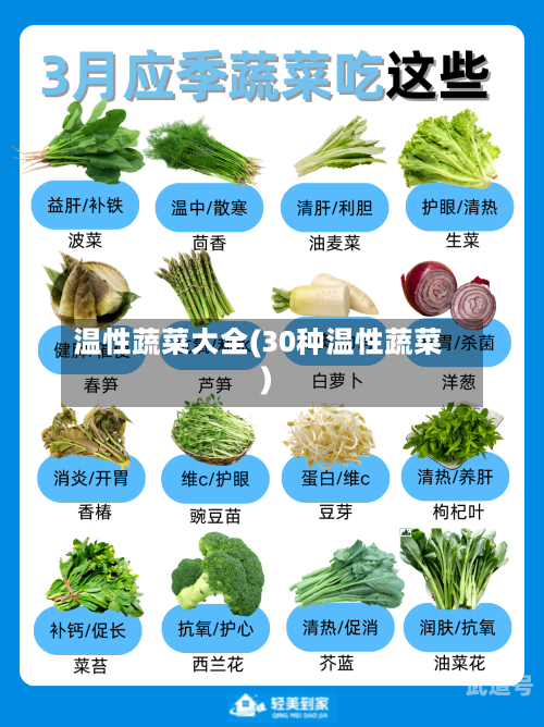温性蔬菜大全(30种温性蔬菜)