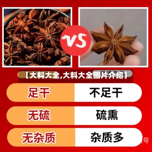 【大料大全,大料大全图片介绍】