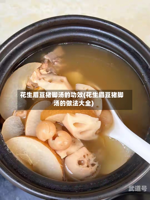 花生眉豆猪脚汤的功效(花生眉豆猪脚汤的做法大全)