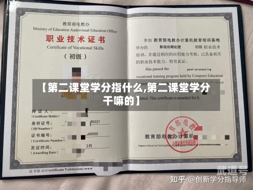 【第二课堂学分指什么,第二课堂学分干嘛的】