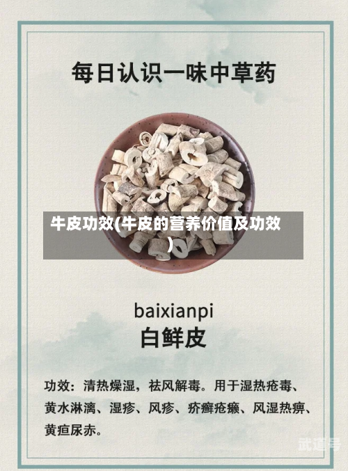 牛皮功效(牛皮的营养价值及功效)