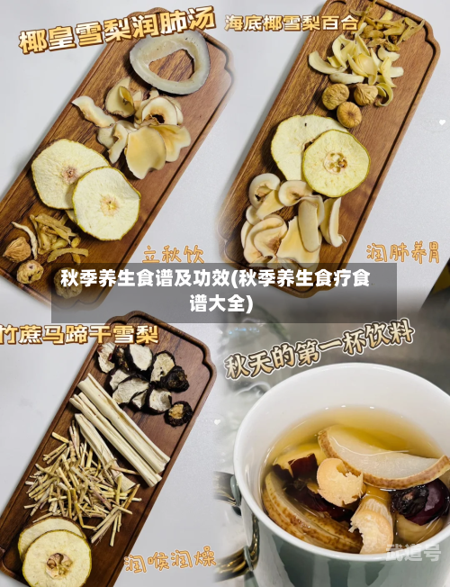 秋季养生食谱及功效(秋季养生食疗食谱大全)