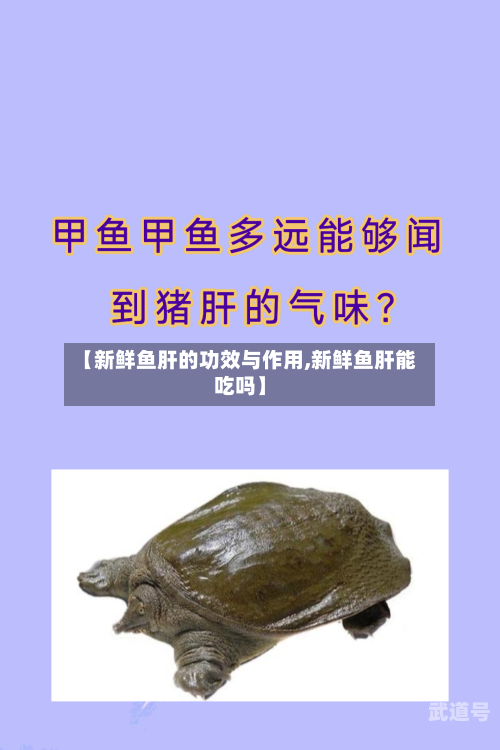 【新鲜鱼肝的功效与作用,新鲜鱼肝能吃吗】