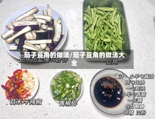 茄子豆角的做法/茄子豆角的做法大全