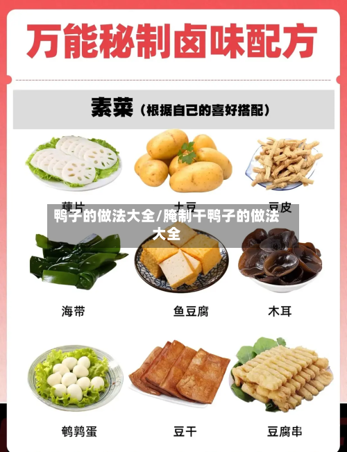 鸭子的做法大全/腌制干鸭子的做法大全