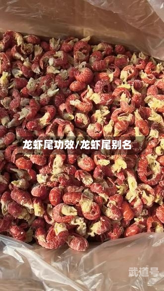龙虾尾功效/龙虾尾别名