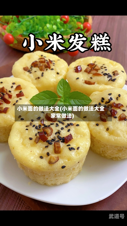 小米面的做法大全(小米面的做法大全家常做法)
