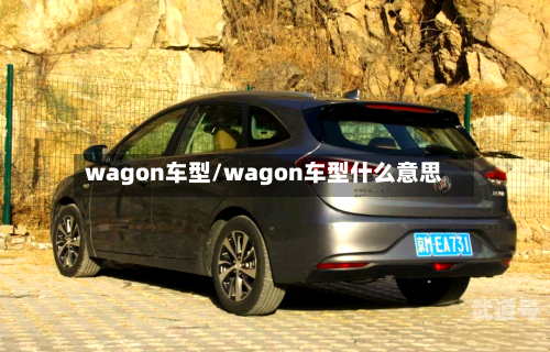 wagon车型/wagon车型什么意思
