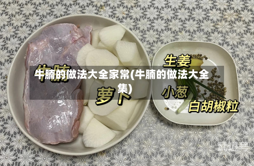 牛腩的做法大全家常(牛腩的做法大全集)