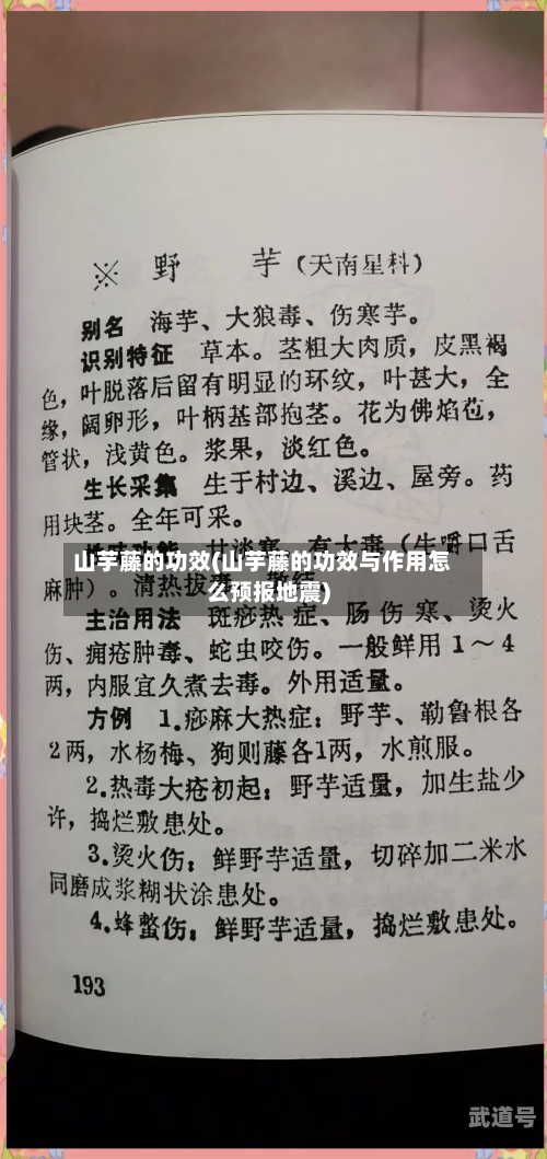 山芋藤的功效(山芋藤的功效与作用怎么预报地震)