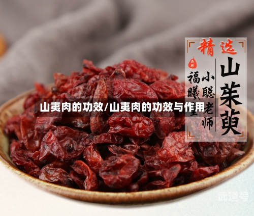 山夷肉的功效/山夷肉的功效与作用