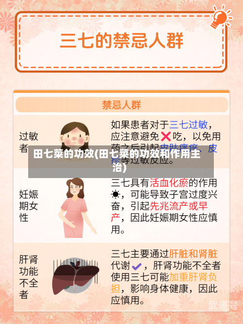 田七菜的功效(田七菜的功效和作用主治)