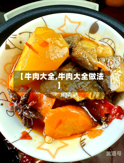 【牛肉大全,牛肉大全做法】