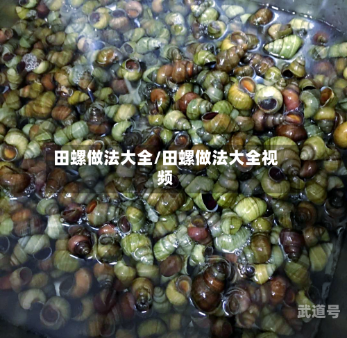田螺做法大全/田螺做法大全视频