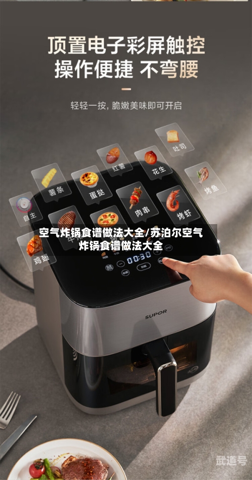 空气炸锅食谱做法大全/苏泊尔空气炸锅食谱做法大全