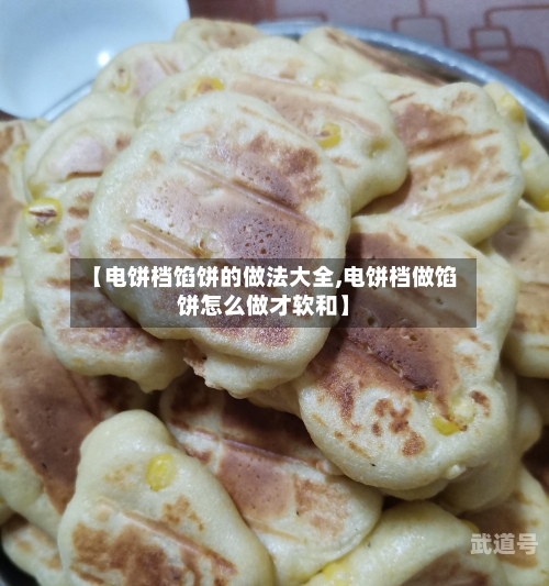 【电饼档馅饼的做法大全,电饼档做馅饼怎么做才软和】