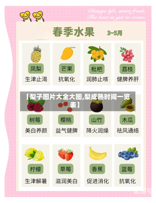 【梨子图片大全大图,梨成熟时间一览表】