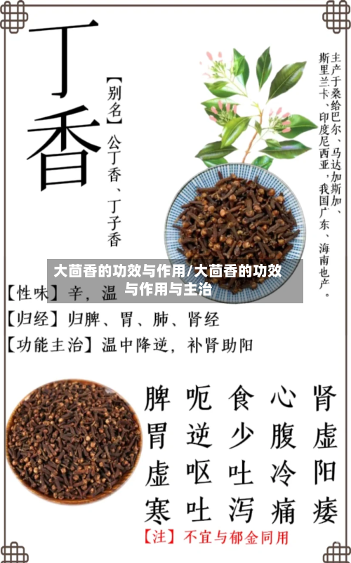 大茴香的功效与作用/大茴香的功效与作用与主治