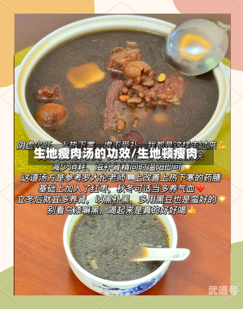 生地瘦肉汤的功效/生地顿瘦肉