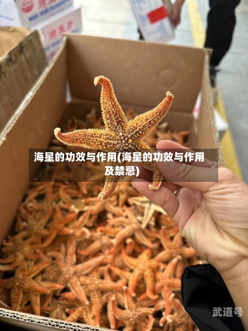 海星的功效与作用(海星的功效与作用及禁忌)