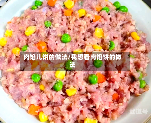 肉馅儿饼的做法/我想看肉馅饼的做法