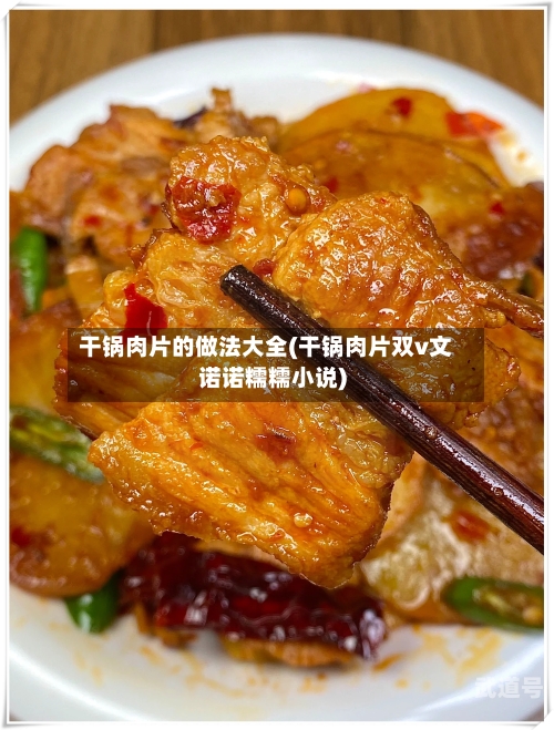 干锅肉片的做法大全(干锅肉片双v文诺诺糯糯小说)
