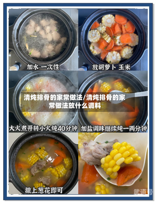 清炖排骨的家常做法/清炖排骨的家常做法放什么调料