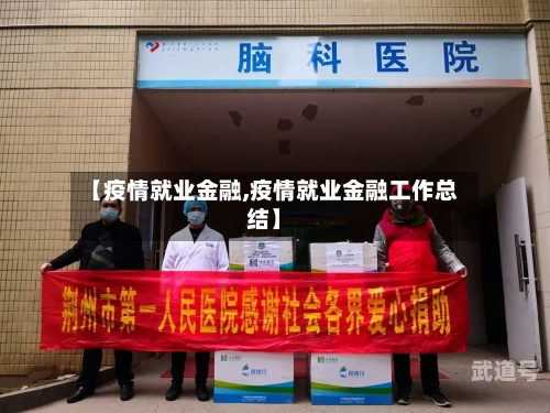 【疫情就业金融,疫情就业金融工作总结】