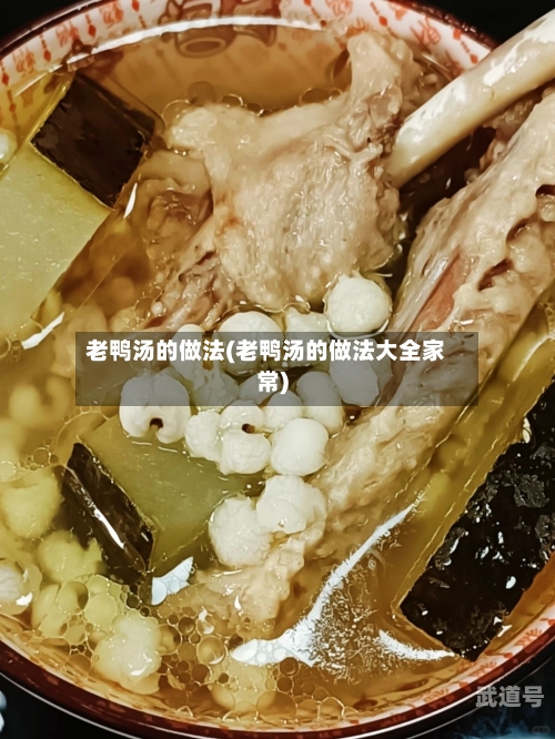 老鸭汤的做法(老鸭汤的做法大全家常)