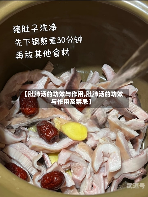 【肚肺汤的功效与作用,肚肺汤的功效与作用及禁忌】