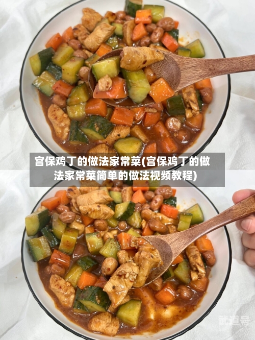 宫保鸡丁的做法家常菜(宫保鸡丁的做法家常菜简单的做法视频教程)