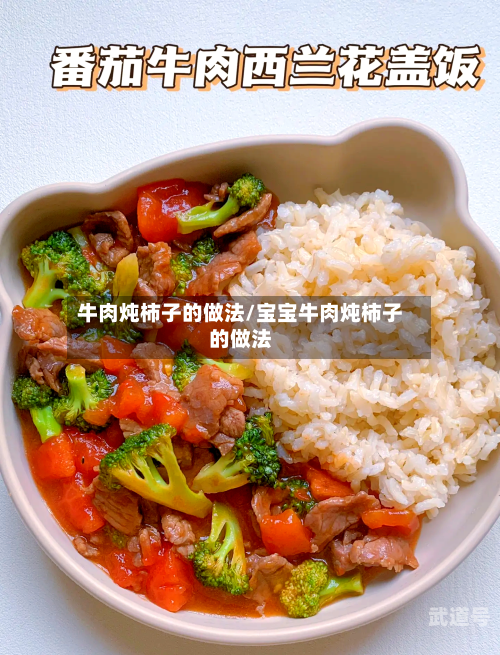 牛肉炖柿子的做法/宝宝牛肉炖柿子的做法