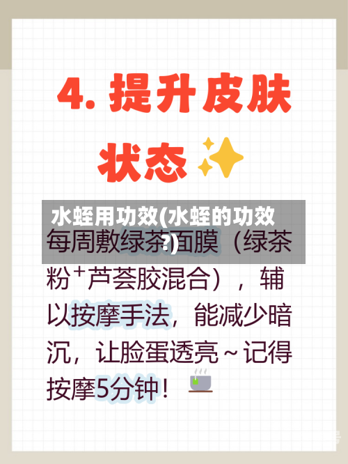 水蛭用功效(水蛭的功效?)