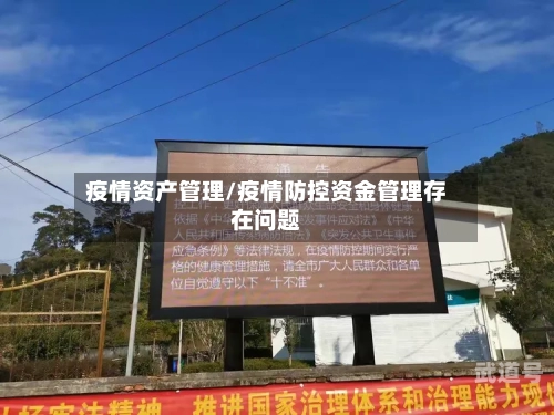 疫情资产管理/疫情防控资金管理存在问题
