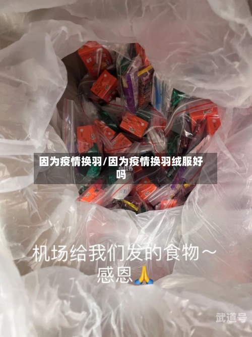 因为疫情换羽/因为疫情换羽绒服好吗
