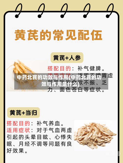 中药北芪的功效与作用(中药北芪的功效与作用是什么)