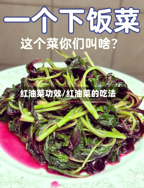 红油菜功效/红油菜的吃法