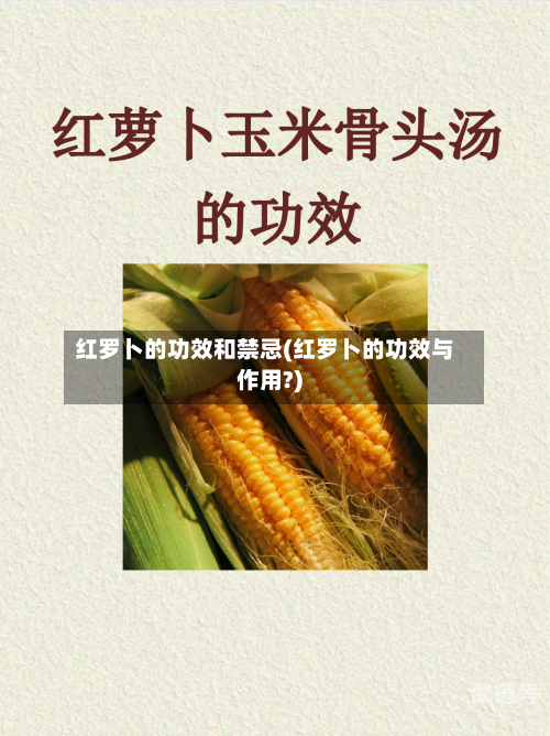 红罗卜的功效和禁忌(红罗卜的功效与作用?)