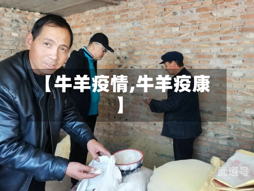 【牛羊疫情,牛羊疫康】