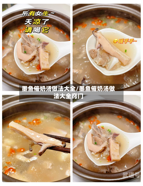墨鱼催奶汤做法大全/墨鱼催奶汤做法大全窍门