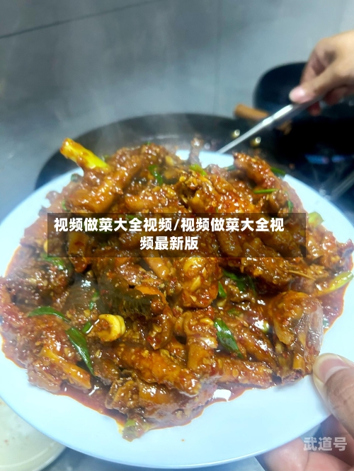 视频做菜大全视频/视频做菜大全视频最新版
