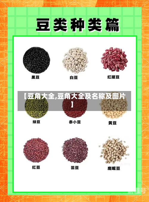 【豆角大全,豆角大全及名称及图片】